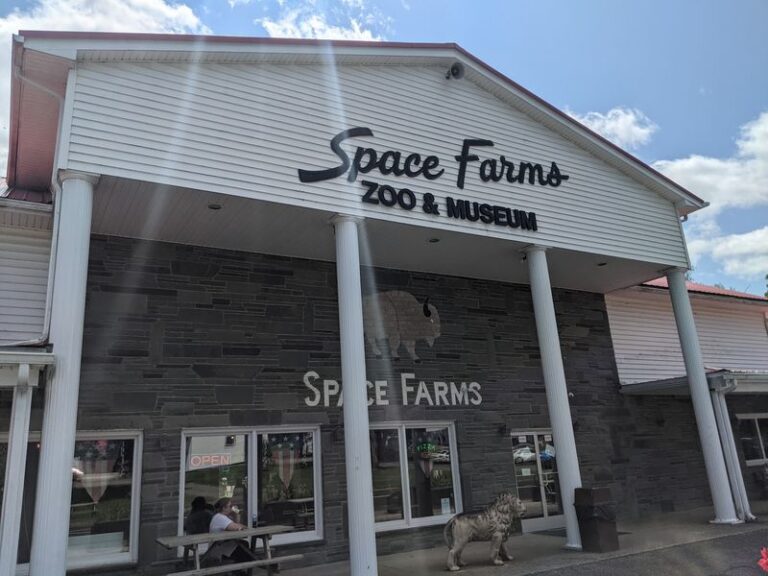 This Family-Owned New Jersey Zoo Hides A Huge Antique Firearm Museum Right Behind Its 500 Animals