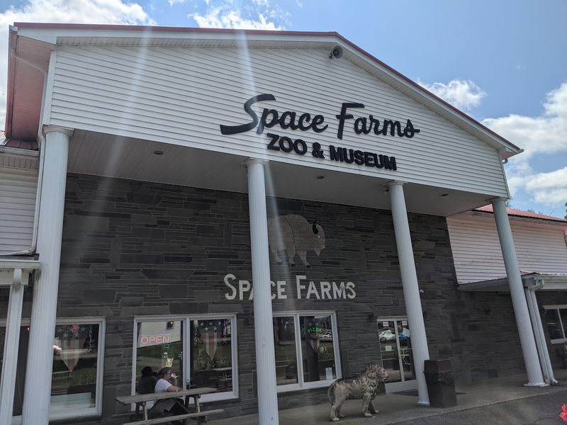 This Family-Owned New Jersey Zoo Hides A Huge Antique Firearm Museum Right Behind Its 500 Animals
