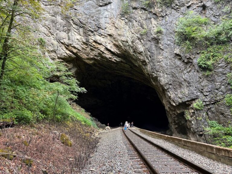 This Virginia Park Hides a Swinging Bridge High Over a Gorge That Makes Your Knees Wobble Halfway Across