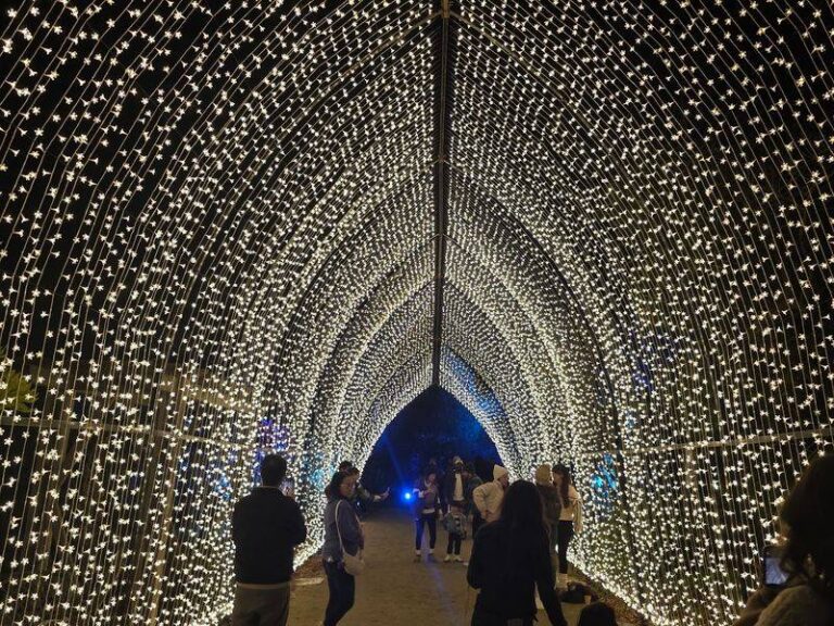 8 California Holiday Light Shows Worth Planning A Festive December Road Trip Around