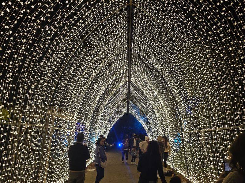 8 California Holiday Light Shows Worth Planning A Festive December Road Trip Around