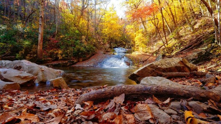 This Easy 1.7-Mile Virginia Trail Follows a Shaded Creek and Never Makes You Climb for the View