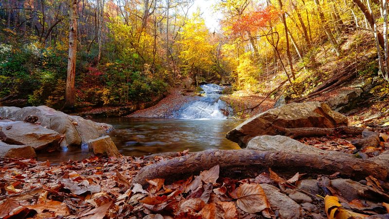 This Easy 1.7-Mile Virginia Trail Follows a Shaded Creek and Never Makes You Climb for the View