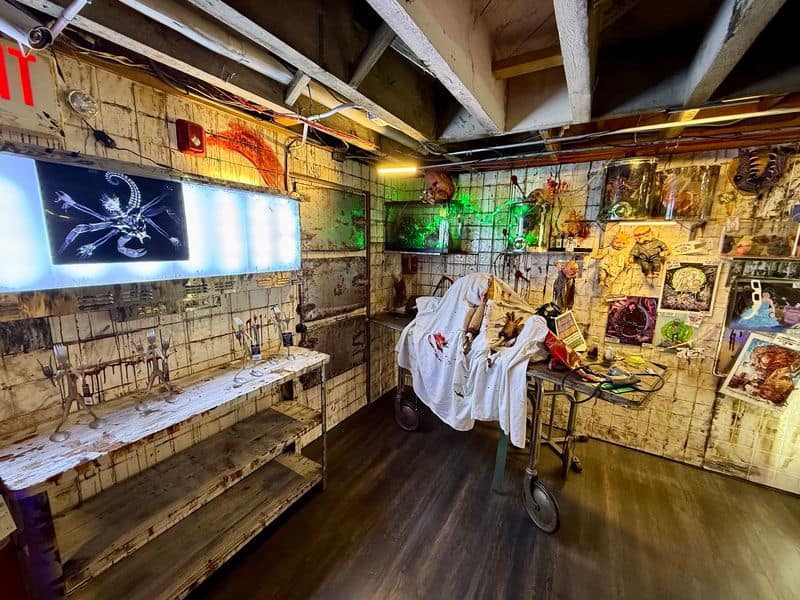 This Two-Story Illinois Shop Feels Like Halloween Moved In And Decided To Stay All Year