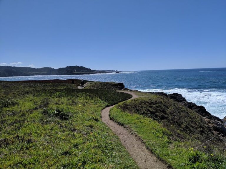 These 11 Dog-Friendly California Trails Turn Cool Fall Weekends Into Your Pup’s Favorite Adventure