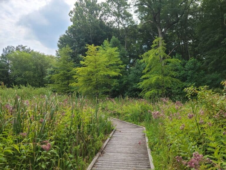This Tiny Ice Age Bog In Bull Valley, Illinois Hides Rooftops Borrowed From The 1933 Chicago World’s Fair
