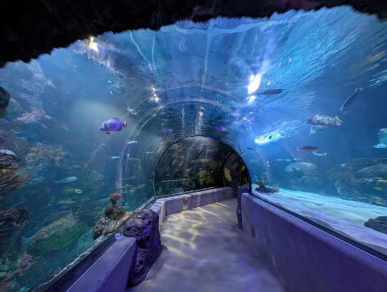 This Virginia Aquarium Kicks Out the Kids and Turns Into a 21+ Night Out After Dark