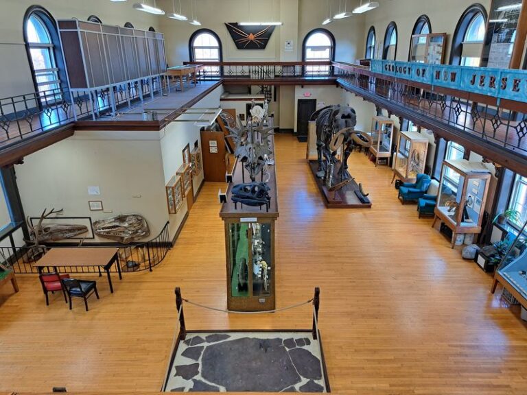 You’ll Find An Egyptian Mummy And A Real Meteorite At This Free New Jersey Museum