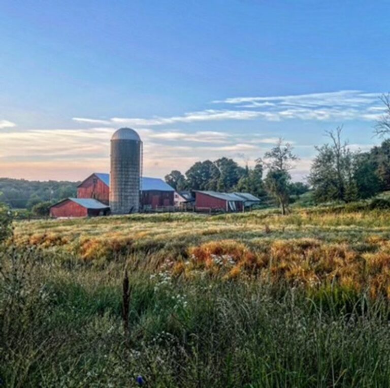 This New Jersey Farm Raises Every Cut Of Meat It Sells Right On Its Own Green Pastures
