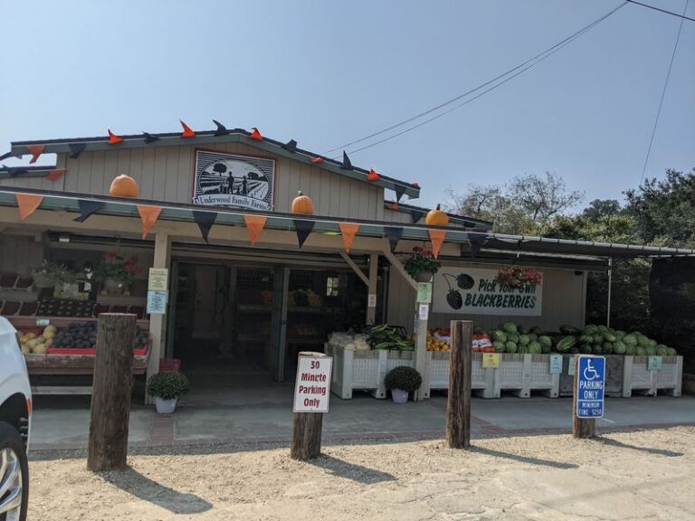 This California Farm Lets You Pick Your Own Fall Apples And Pumpkins For A Few Dollars