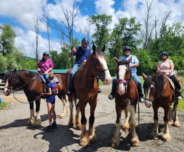 More Than 30 Gentle Giant Clydesdales Wait For Riders At This New Jersey Farm