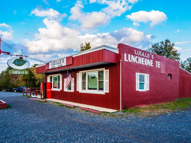 This Tiny New Jersey Diner Hides At The End Of A Pine Barrens Back Road, And Locals Swear It’s Worth The Drive
