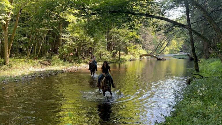 This New Jersey Ranch Takes Riders On Long Trail Rides Through Fall Woods And Along Creeks
