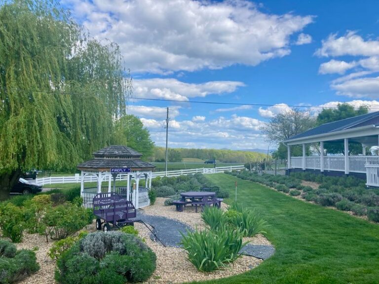 A Family Homestead in Virginia Tends 8,000 Lavender Plants, and the Scent Hits You Before You Park