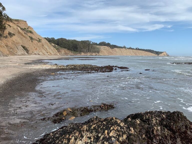 These 10 California Beaches And Canyons Let You Hunt Fossils, Sea Glass, And Agates For Free
