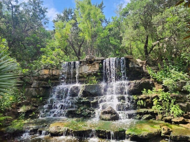 This Texas Botanical Garden Still Lets Seniors Wander Rare Blooms For Just $5
